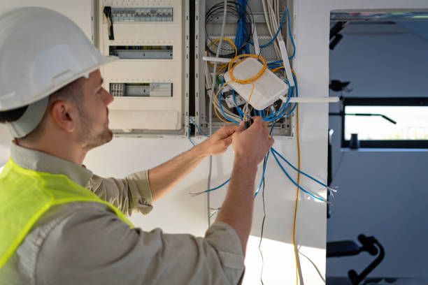 Best Electric Panel Repair  in Troy, TN